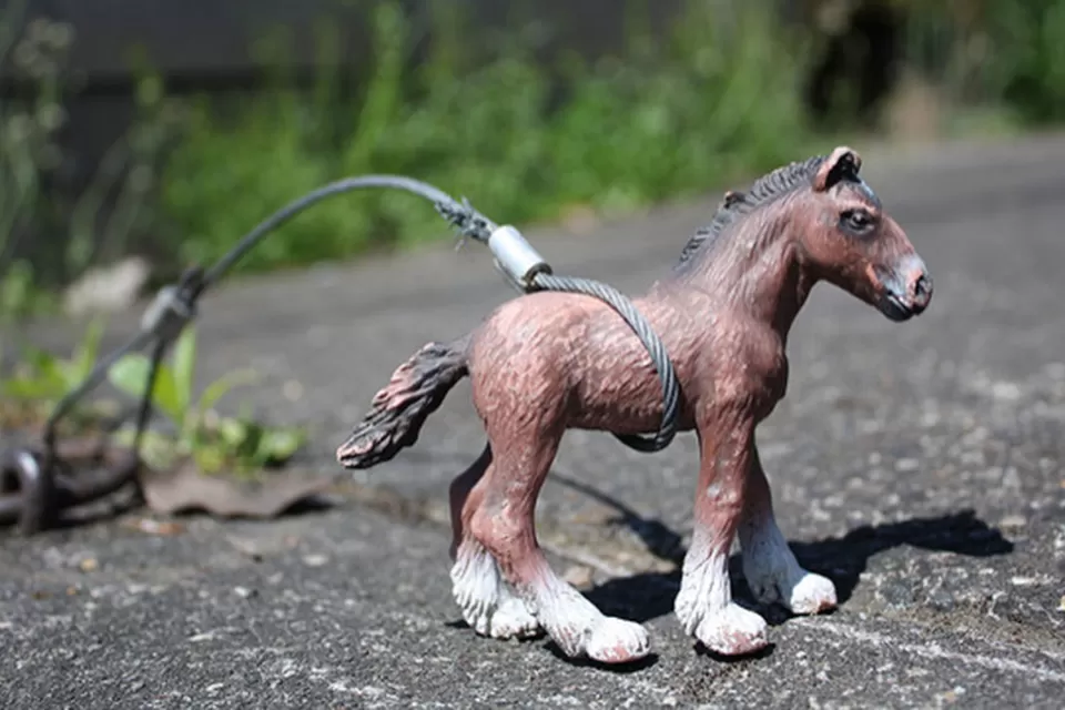 Horse Toy